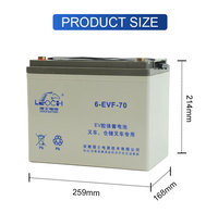Batterie au gel sans entretien 12V 70Ah LEOCH 6-EVF-70 pour chariot élévateur électrique, VRLA à décharge profonde 259x168x214mm