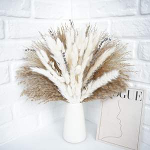 Bouquet di Fiori Secchi Naturali Erba della Pampa Code di Coniglio per Decorazioni Matrimoniali ed Eventi e Arredamento Casa Fornitura all'Ingrosso OEM - Product Image 6