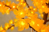 Chinesische Mini-Ornamente für Innen/Außen, IP65 Wasserdicht, 1m Länge, Weihnachtsbeleuchtung, Leuchtende LED mit Taiwan Epistar LED-Chip, AC-Beleuchtung