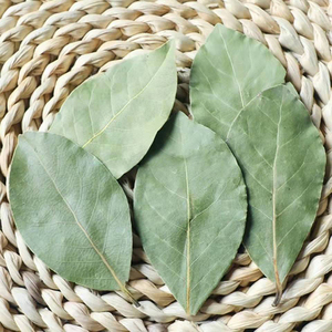 Hojas de Laurel naturales <span class=keywords><strong>secas</strong></span> de hierbas al por mayor - Product Image 4