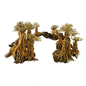 Decoración de Acuario de Madera Natural, Raíces de Árbol Retorcidas, Adorno para Pecera, Ecológico, Hecho en Vietnam - Product Image 1