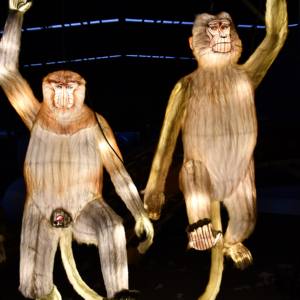 โคมไฟจีน LED กันน้ำสำหรับตกแต่งเทศกาลและขบวนพาเหรด ผลิตตามสั่งสำหรับใช้ภายใน/ภายนอกอาคาร - Product Image 1