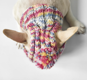 उच्च अंत वाले दैनिक पहनने वाली पेटशॉप डिजाइनर छोटे कुत्ते के कपड़े वसंत गर्मियों कुत्ते स्वेटर पेटको - Product Image 2