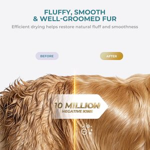 Sèche-cheveux professionnel pour animaux de compagnie, blanc, le plus puissant, à moteur unique - Product Image 3