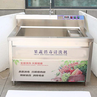 Fruitwasmachine Groentewasmachine Groentewasmachines Kruiden Wasmachine