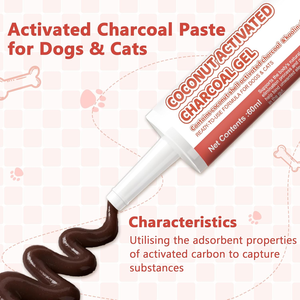 Pâte détoxifiante au <span class=keywords><strong>charbon</strong></span> <span class=keywords><strong>actif</strong></span> OEM pour chiens – Soutien immunitaire et digestif, digestion sensible, sans céréales, biologique, toutes étapes de vie - Product Image 2