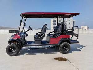 Nuevo Diseño 2026, Carritos de Golf Mini de Lujo Personalizados, Vehículos de Calle de 4 y 6 Plazas - Product Image 3