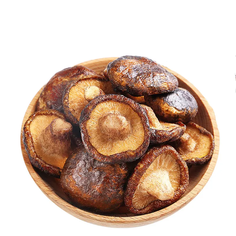 Seta de Shiitake seca, fabricante de suministro de Comida instantánea