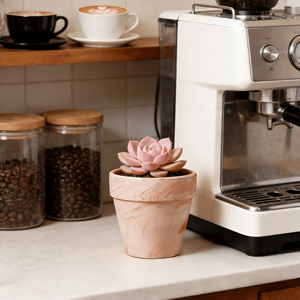 Pot de fleurs en terre cuite rouge macchiato, céramique émaillée, écologique et durable, respirant, pour plantes succulentes et orchidées, pour la maison et le jardin - Product Image 2