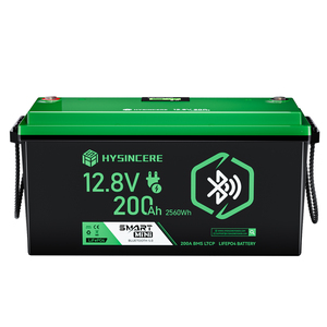 แบตเตอรี่ Smart <span class=keywords><strong>Mini</strong></span> <span class=keywords><strong>12V</strong></span> 200Ah LiFePO4 พร้อมบลูทูธ 5.0 หน้าจอ LCD แสดงความจุ 2560Wh 200A BMS LTCP สำหรับรถพ่วงพลังงานแสงอาทิตย์และเรือ - Product Image 4