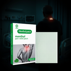 무료 샘플 천연 허브 핫 & 콜드 통증 패치 원적외선 및 멘톨 포함 CE 인증 저렴한 가격 - Product Image 1