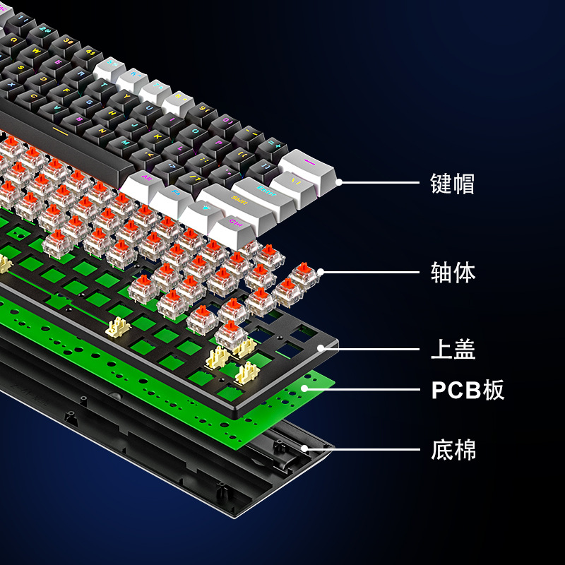 BD61S