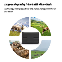 Traceur GPS étanche IP67 4G avec batterie de 20000 mAh pour le suivi des bovins, des chevaux, des moutons, des chameaux, du bétail, antivol