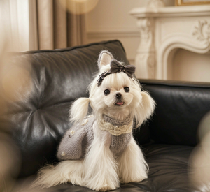 Robe pull en tricot de luxe pour petits chiens et chats - Vêtement pour animaux de compagnie doux et chaud à col roulé pour <span class=keywords><strong>Chihuahua</strong></span>, Yorkie, chiots et races de petite taille OEM - Product Image 1