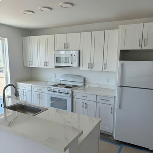 USA Kitchen Remodel Wholesale Kitchen Cabinets Ready To Assemble American RTA Cabinet Building Project Kitchen Wood Cabinets - Product Image 1