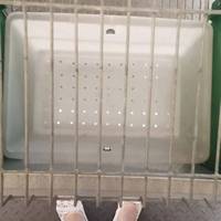 Nouvelles cages d'élevage de lapins en acier galvanisé de type H, capacité de 48 lapins, usage commercial