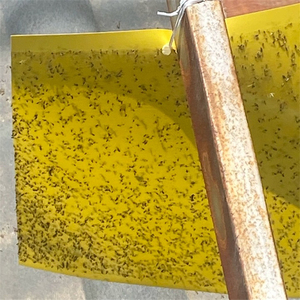 Trampa para mosquitos de doble cara de 12 x 10 pulgadas |   Atrapa Insectos a Prueba de Polvo y Agua con Cubierta de Papel Encerado para Monitoreo de Plagas en Invernaderos - Product Image 3