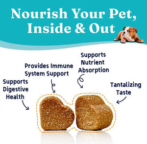 Suplemento Probiótico para Mascotas de Alta Calidad, Directo de Fábrica, Personalizable, 120 Unidades, Favorece la Digestión, Masticables Blandos - Product Image 6