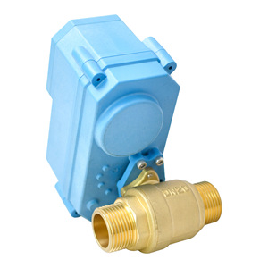 Vanne Intelligente Tonhe DN10 en Laiton Fileté à Commande Sans Fil pour Eau et Air 12V DC - Product Image 1