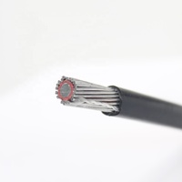 2 core 0.6/1kv kupfer kabel mit neutral abgeschirmt