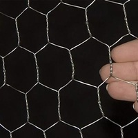 Grillage hexagonal galvanisé tissé, maille polyvalente de qualité supérieure pour enclos d'élevage