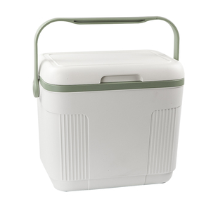 Hot Sale Portable Mini Plastic Cooler Ice Box Food Fresh Warmer For Camping Picnic