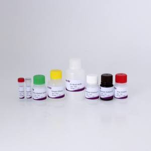 <span class=keywords><strong>Kit</strong></span> de <span class=keywords><strong>test</strong></span> d'anticorps cELISA de type 2 (<span class=keywords><strong>PCV2</strong></span>) Circovirus porcin-Haute sensibilité et spécificité pour les diagnostics vétérinaires - Product Image 2