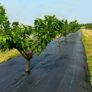 Pp Pe Geweven Geotextiel Polyethyleen Geweven Anti-Grasmat Onkruidbestrijdingsmat Buiten Bodembeschermer - Product Image 6