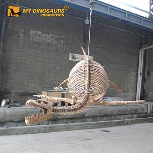 Mon Dinosaure XJ327 Attrayant, Squelette de Plesiosaure de Taille Naturelle à Suspendre - Product Image 4