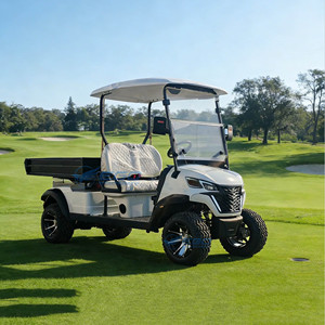 Voiturettes de golf électriques de qualité supérieure pour 2 personnes, vente directe d'usine, idéales pour les zones touristiques, à prix abordable - Product Image 3
