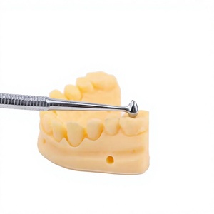 Pulidor dental de doble punta para amalgama y composite, instrumentos de relleno con agarre moleteado, plateado, manual, Clase I - Product Image 4