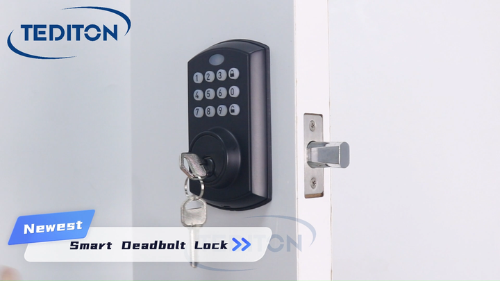 Tediton Security Outdoor Waterproof Keyless Auto Lock Smart Tuya ...