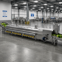 Automatische fruit- en groenteverwerkingslijn, koolzaadblancher, snelvrieslijn voor groenteverwerking, enzym-inactivatielijn