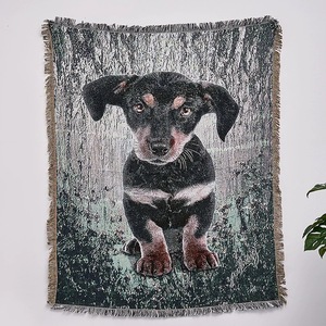 2024 sofa bao gồm đàn hồi tùy chỉnh in ném tấm thảm dệt nhà chăn - Product Image 3