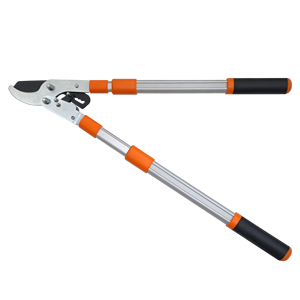 Sécateur longue durée en acier à haute teneur en carbone cliquet dérivation élagueur outils à main de jardin populaires - Product Image 2