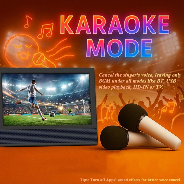 Portable Karaoke System 14 Inch Screen 1366x768 2 Wireless Mic DC12V LCD TV for Outdoor Picnic