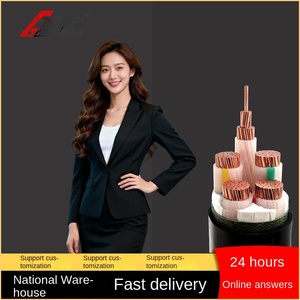 YJV-Kabel 0,6/1kV <span class=keywords><strong>3</strong></span>-adrig Nationaler Standard Reines Kupfer 4-adrig 10~400 Quadrat Dreiphasig Vierleiter Flammhemmendes Stromkabel - Product Image 2