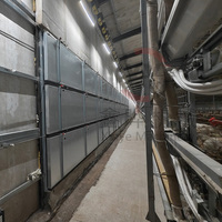 Cage à poulets de chair et pondeuses de type H entièrement automatique pour 100 000 oiseaux – Équipement d'élevage avicole
