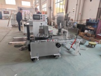 Machine d'emballage horizontale de comptage de paquets de film Opp à paille multiple