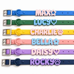 Set Collare e Guinzaglio Personalizzato in PVC Impermeabile <span class=keywords><strong>per</strong></span> Animali Domestici, Decorazione <span class=keywords><strong>con</strong></span> Lettere in Silicone, Chiusura <span class=keywords><strong>con</strong></span> Fibbia, <span class=keywords><strong>Per</strong></span> Tutte le Stagioni, <span class=keywords><strong>Per</strong></span> Gatti e <span class=keywords><strong>Cani</strong></span> - Product Image 1