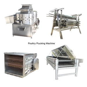 Machine à retirer l'huile de l'estomac des moutons, des porcs et des vaches, petite capacité, acier inoxydable, moteur haute efficacité, abattoir avicole - Product Image 6