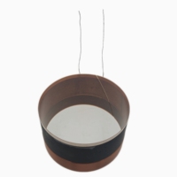 Pièces de haut-parleur passif en titane Yicheng de haute qualité, 75,5 mm, TGL, résistant aux hautes températures, bobine de basses, embout de phase, unité de pilote