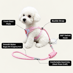 Correa reflectante resistente para perros con mango acolchado cómodo, cuerda de nylon trenzada fuerte para perros pequeños y medianos, para paseos al aire libre. - Product Image 5
