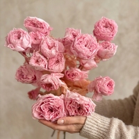 Lot de roses éternelles de haute qualité en gros, plus de 10 roses multicolores longue durée (3-5 ans) pour bouquets de mariage et centres de table pour fleuristes
