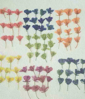 Bahan DIY Bunga Kering Daun Bunga Tagetes yang Ditekan dengan Ranting untuk Pembuatan DIY Tanaman Alami Ramah Lingkungan Bunga Kering yang Ditekan