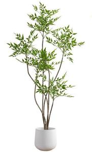 Cây bách xù phía Nam nhân tạo quy mô lớn trang trí sàn phòng khách trong nhà cao cấp sinh học cao cấp trang trí chậu - Product Image 4