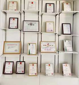 Los mejores precios para el nuevo kit de reparación de amortiguadores de piezas de automóviles <span class=keywords><strong>BMW</strong></span> con OE 33506773628 incluye bloque amortiguador de amortiguadores de automóviles - Product Image 6