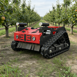Cortadora de Césped Inteligente a Control Remoto, Mini, de Alta Eficiencia, Industrial, de 4 Tiempos, Agrícola, con Certificación CE y EPA, Personalizable - Product Image 1