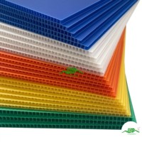 Extrudeuse de carton PP pour emballage avec services de découpe et d'impression, haute productivité, écologique