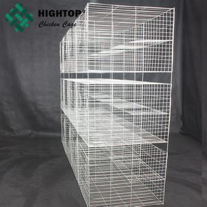 Gabbia di piccione in metallo zincato allevamento con accessori piccione per la vendita - Product Image 6